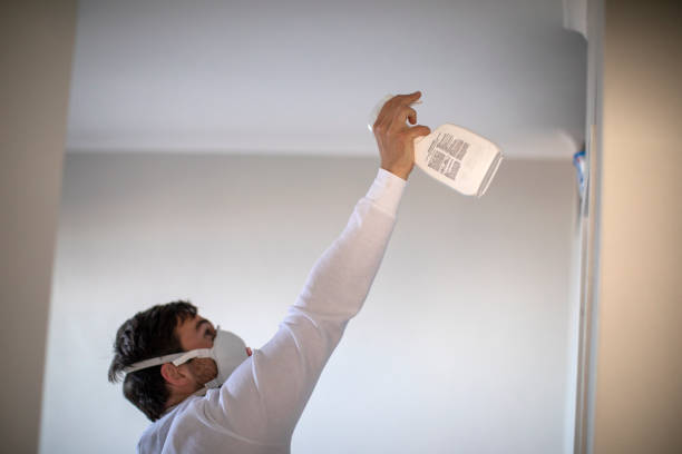 Best Emergency Mold Removal  in Demorest, GA